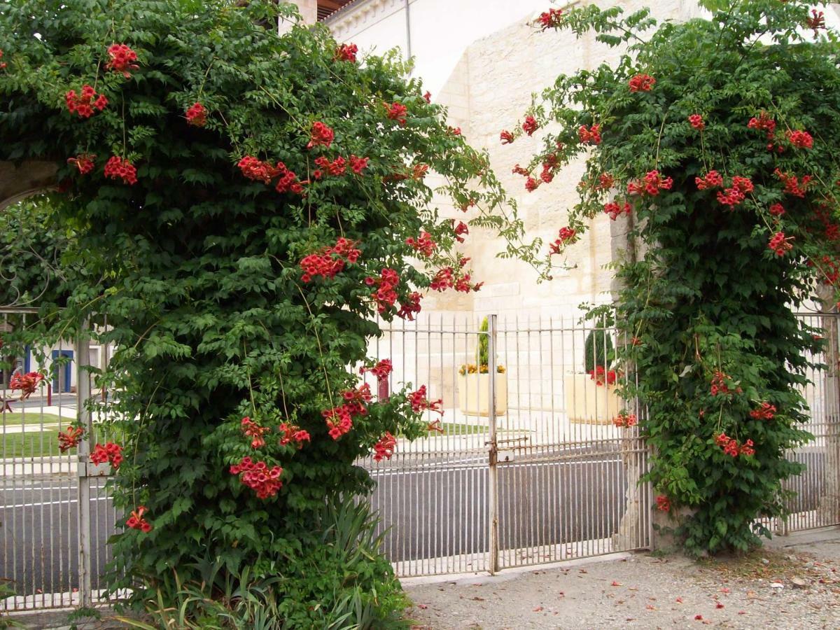 Chateau La Gentilhommiere Du Puits Notre-Dame 30 Rue De L'Eglise 24110 Saint Leon Sur L'Isle מראה חיצוני תמונה